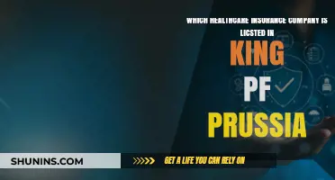 Top Healthcare Insurance Companies in King of Prussia: A Comprehensive Guide