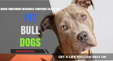 Pit Bulls and Home Insurance: Which Companies Have Breed Restrictions?