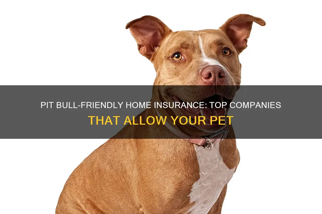 which home insurance companies allow pit bulls