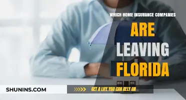 Florida Home Insurance Exodus: Which Companies Are Pulling Out?