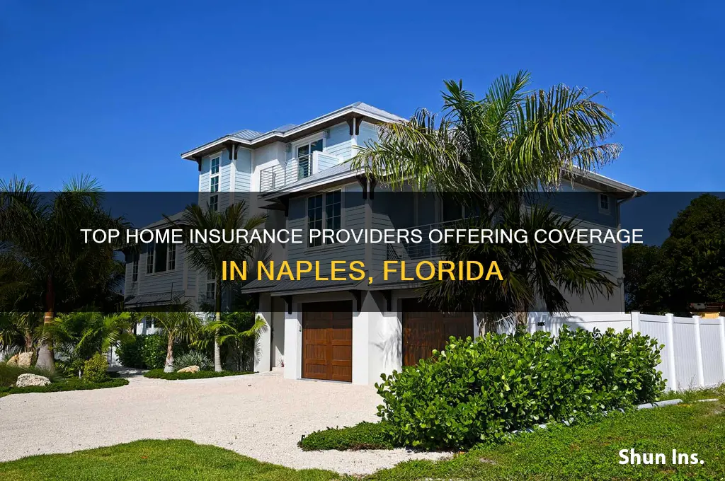 which home insurance companies insure in naples fl