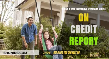 Home Insurance Credit Check: Which Companies Scrutinize Your Credit Report?