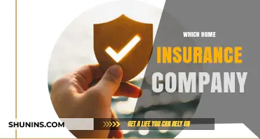 Choosing the Right Home Insurance Company: A Comprehensive Guide