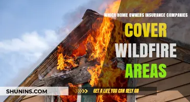 Wildfire Coverage: Top Homeowners Insurance Companies for High-Risk Zones