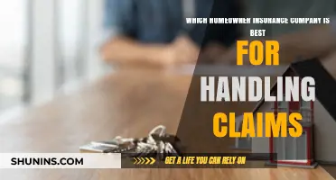 Top Homeowner Insurance Companies for Efficient and Fair Claims Handling