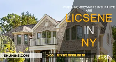 Best Homeowners Insurance Providers Licensed in New York