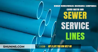 Homeowners Insurance: Which Companies Cover Water and Sewer Line Repairs?