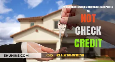Homeowners Insurance Without Credit Checks: Top Companies to Consider