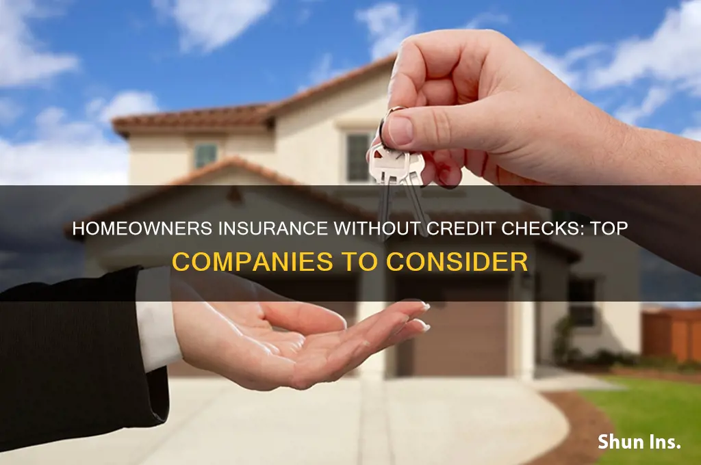 which homeowners insurance companies do not check credit