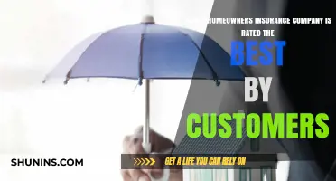 Top-Rated Homeowners Insurance Companies: Customer Reviews and Satisfaction