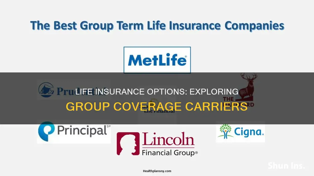 which insurance carriers have group life insurance