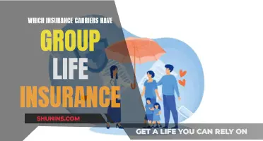 Best Group Life Insurance Carriers: Comprehensive Coverage Options