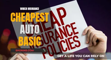 Auto Insurance Basics: Finding the Cheapest Coverage