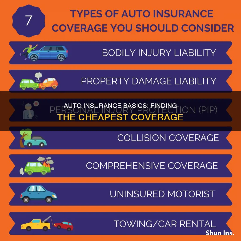 which insurance cheapest auto basic