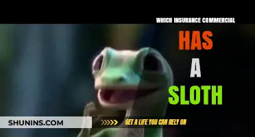 Sloths in Insurance Ads: Which Company Uses This Mascot?