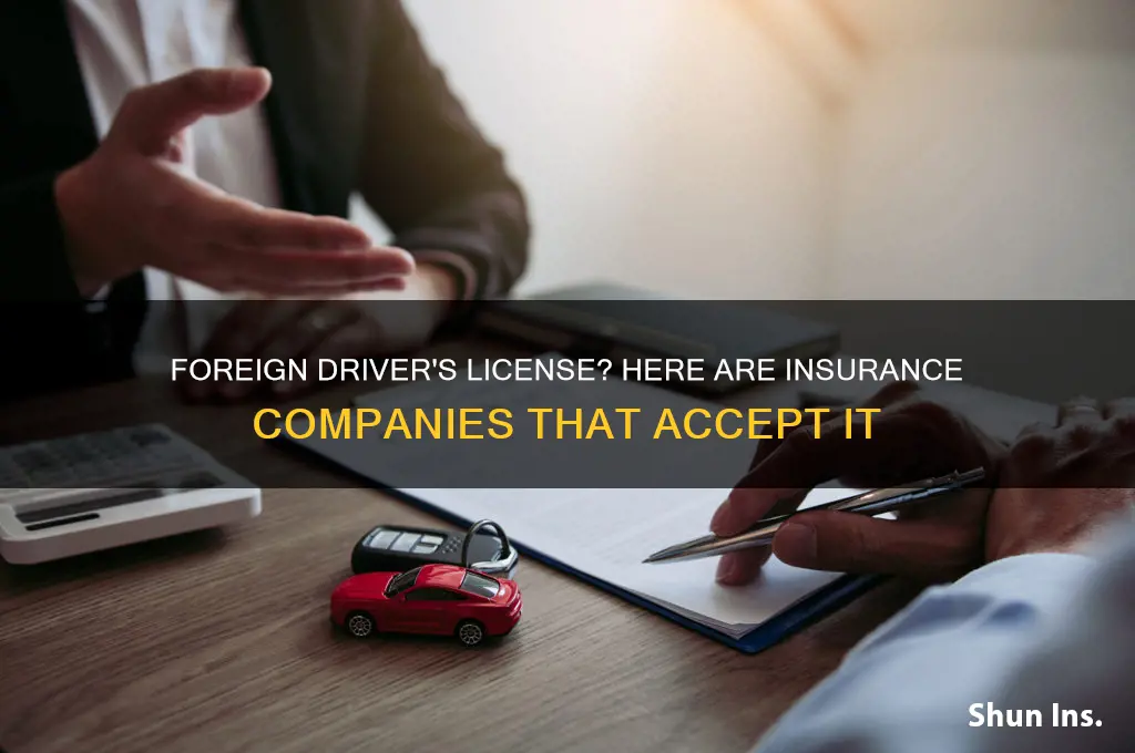 which insurance companies accept foreign driver