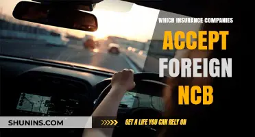 Foreign NCB Accepted: Insurance Companies Welcoming International Drivers