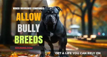 Bully Breed Insurance: Companies That Welcome Pit Bulls and More
