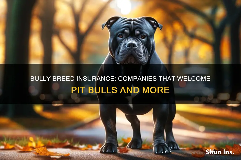 which insurance companies allow bully breeds