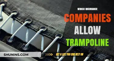 Trampoline-Friendly Insurance: Companies That Allow Trampoline Coverage