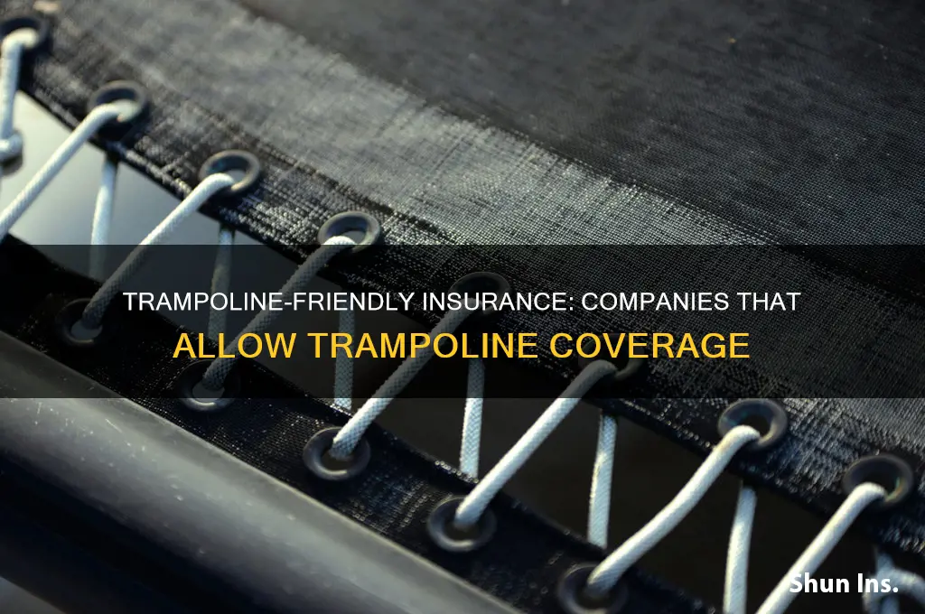 which insurance companies allow trampoline