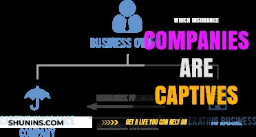 Captive Insurance Companies: Unveiling the Key Players and Their Roles