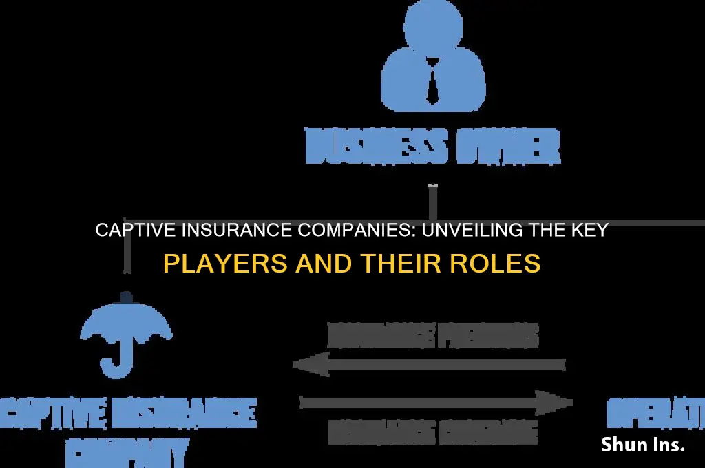 which insurance companies are captives