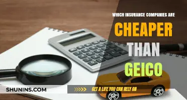 Affordable Auto Insurance Alternatives: Cheaper Options Than GEICO Revealed