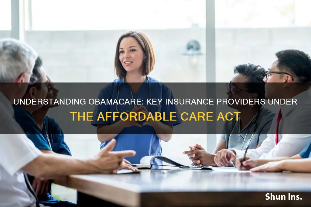 which insurance companies are considered obamacare