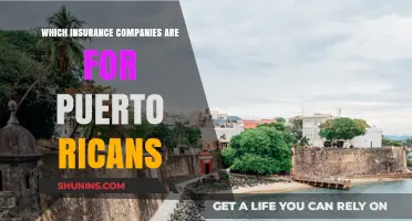 Top Insurance Providers for Puerto Ricans: Coverage and Options Explained