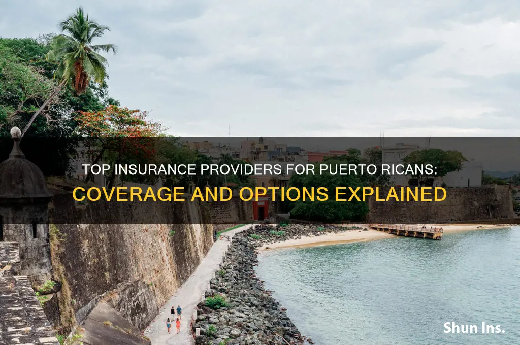 which insurance companies are for puerto ricans