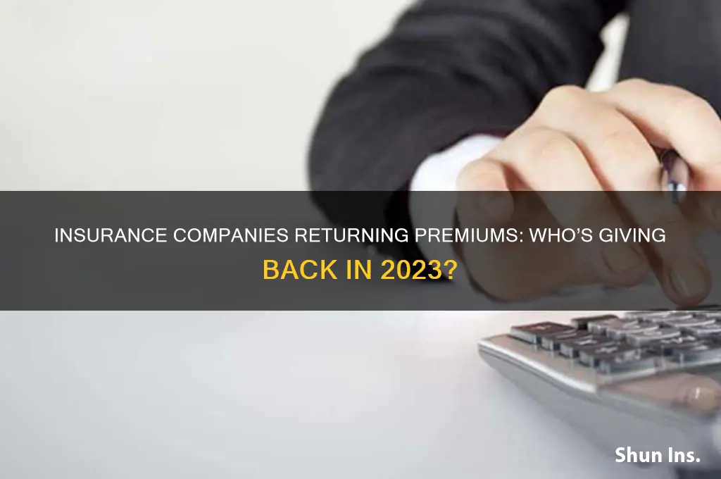which insurance companies are giving back premiums