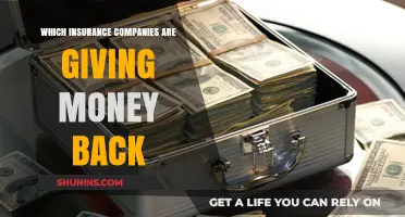 Insurance Companies Offering Premium Refunds: Who's Giving Money Back?