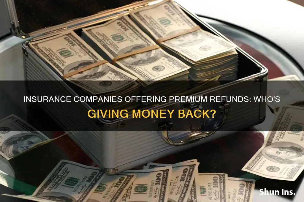 which insurance companies are giving money back