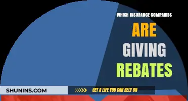 Insurance Rebates: Which Companies Are Offering Refunds in 2023?
