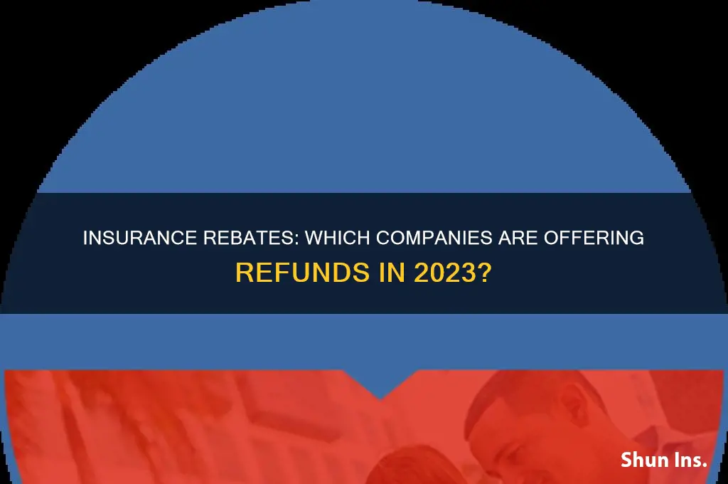 which insurance companies are giving rebates