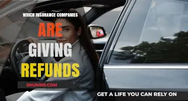 Insurance Refunds: Which Companies Are Offering Money Back?