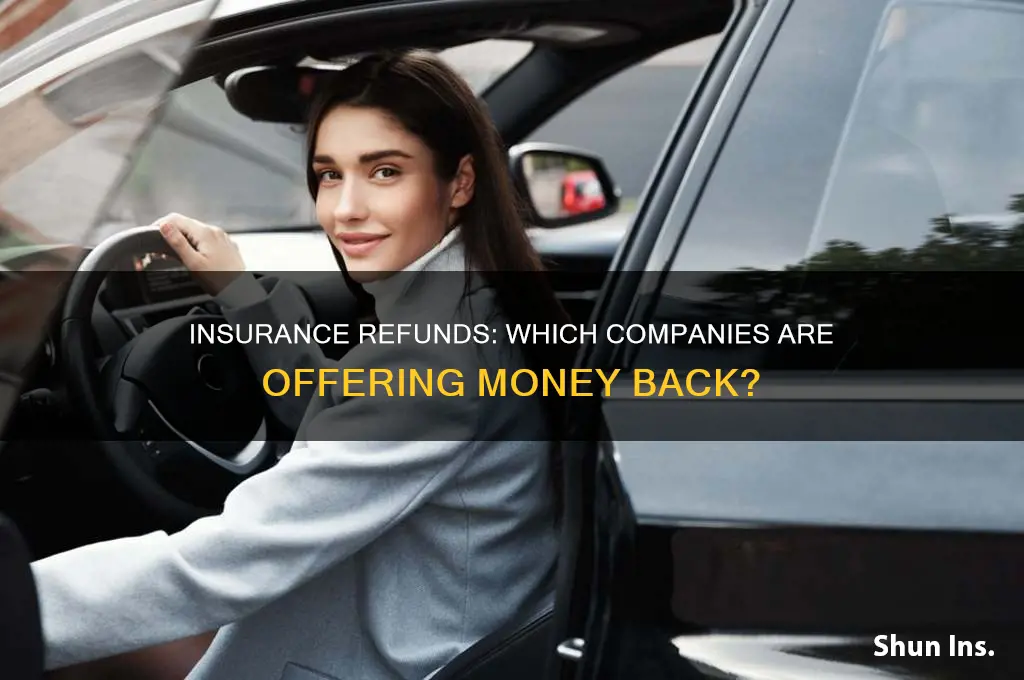 which insurance companies are giving refunds