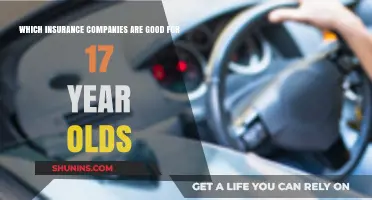 Best Car Insurance Options for 17-Year-Old New Drivers