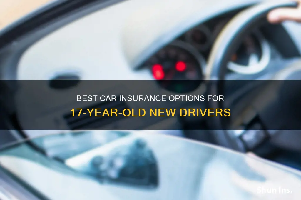 which insurance companies are good for 17 year olds