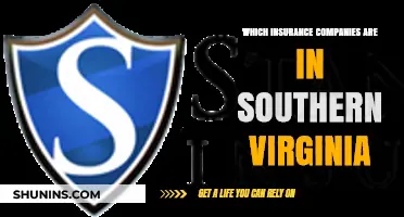 Southern Virginia Insurance Guide: Top Companies Serving the Region