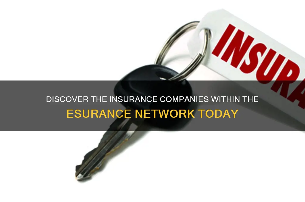which insurance companies are in the esurance network