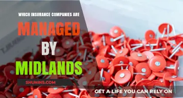 Midlands-Managed Insurance Companies: A Comprehensive Guide to Key Players