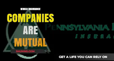 Mutual Insurance Companies: Understanding Ownership and Benefits for Policyholders