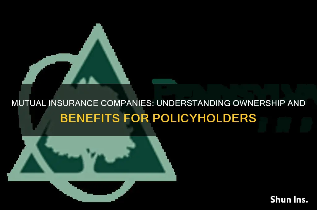 which insurance companies are mutual