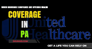 Top Health Insurance Providers Offering Coverage in Pennsylvania: A Comprehensive Guide