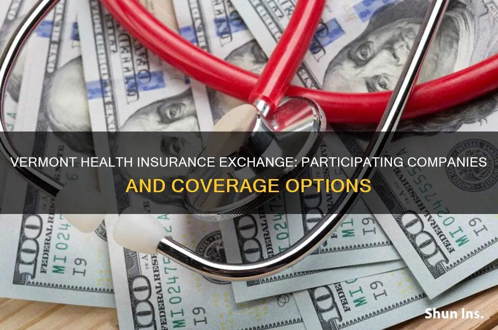 which insurance companies are on the vermont exchange