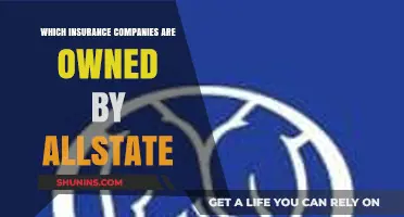 Allstate's Empire: Uncovering the Insurance Companies It Owns