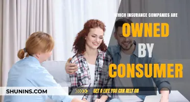 Consumer-Owned Insurance Companies: A Guide to Mutual Carriers