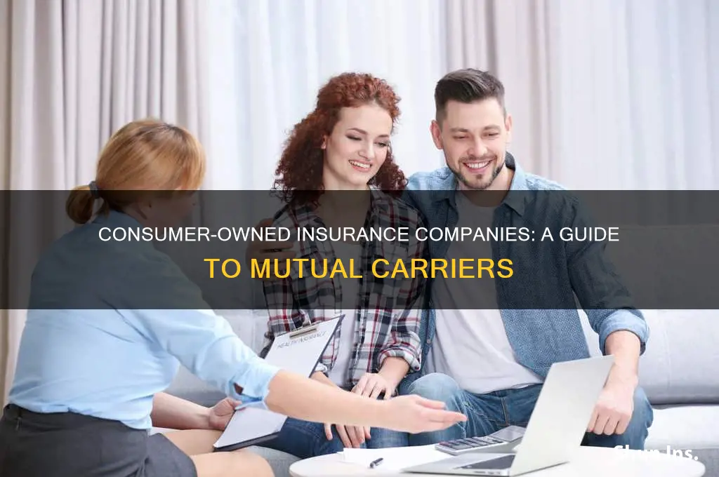 which insurance companies are owned by consumers